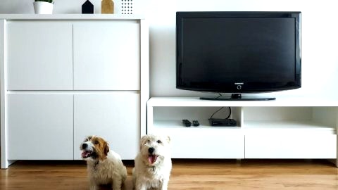 Uroczy Apartament Pod Skarpą