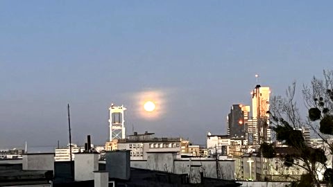 SEAPORT 18/28