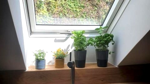 Apartamenty Magiczna Wenecja