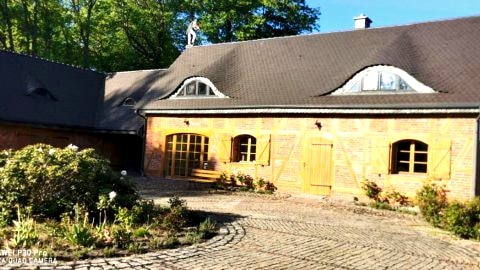 Violin house