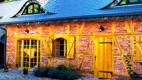 Violin house