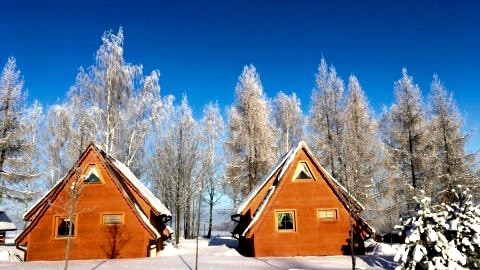 Czocha Holiday - noclegi blisko Zamku Czocha 