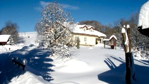 U Eskulapa