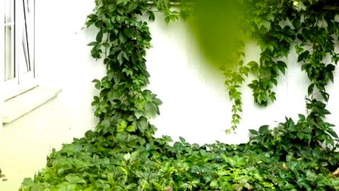Magic Garden Hostel