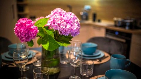 Apartament Vitis Rose