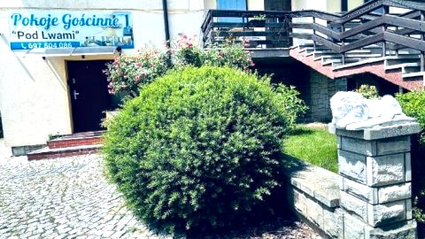 Apartamenty Pod Lwami