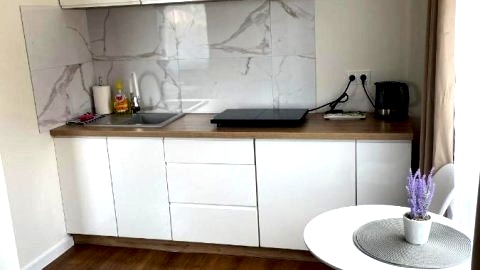 Apartamenty Pod Lwami