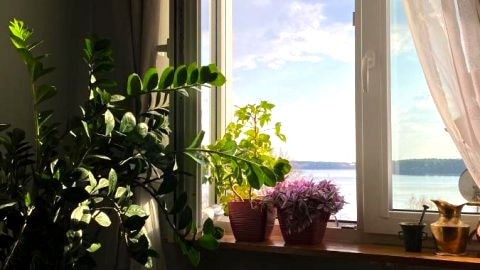 Apartament Alicji