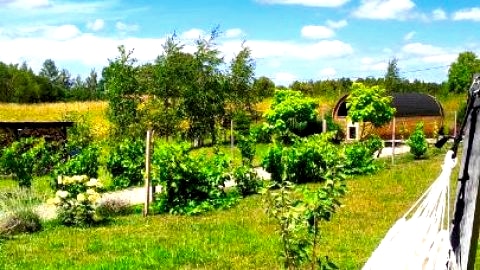 Giżycko - Żywki, Masuria Resort Village, całoroczne domki z widokiem na jezioro
