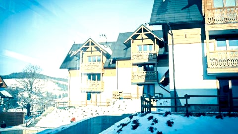 Bury Miś