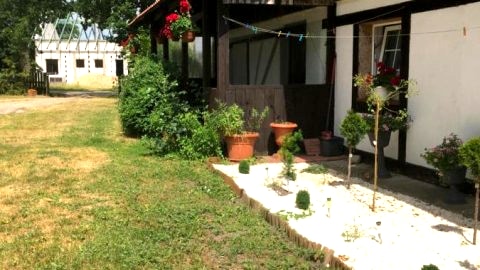 Agroturystyka Pod Dębami w Klukach