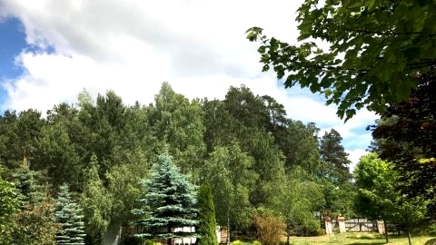 Agroturystyka Leśna Dolinka