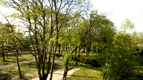Poppy Apartment Kolobrzeg