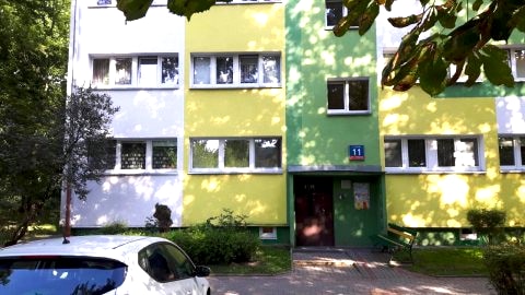 motylek