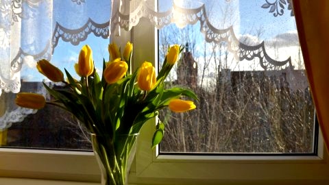 Apartament na Starym Mieście w Gdańsku