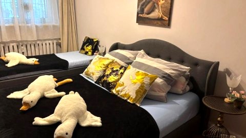 Apartament Dymińska