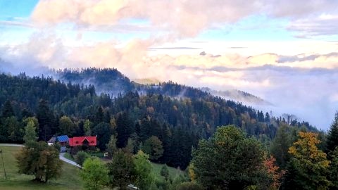 Domek na Obidzy