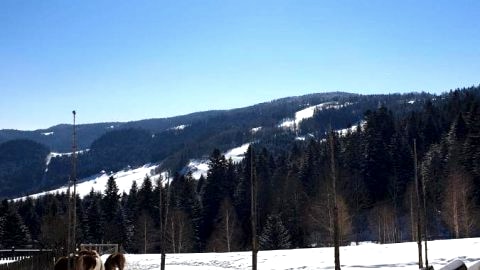 Domek na Obidzy