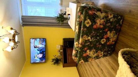 Apartament Salamandra Due