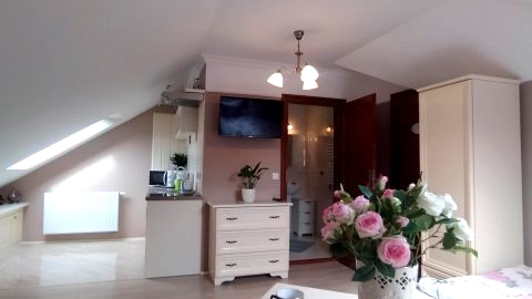 Apartament jednopokojowy na poddaszu (bez balkonu))