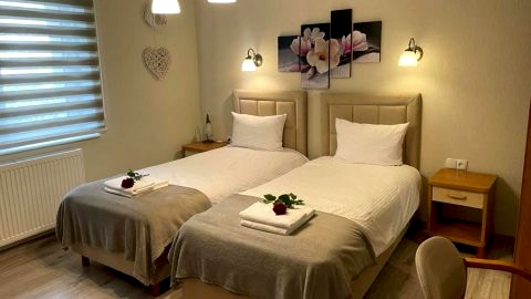 Villa Regina - Spokojna okolica - 100 metrów od lasu - blisko szpitala
