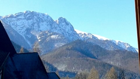 widok z okna