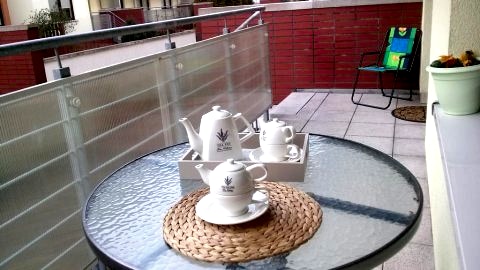 Apartament Żaglowce Zielone Tarasy, Piano Diva | ogród | kominek | park wodny