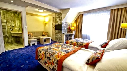 Hotel TOPORÓW ***
