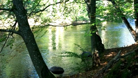 Drawnik nad Drawą