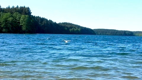 Plaża, Jezioro Płęsno