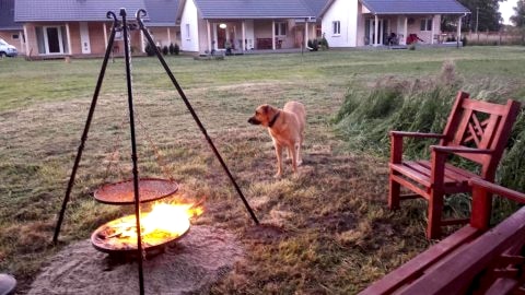 Grill