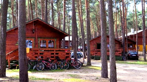 Domek drewniany Modrzew 4 osobowy, 1 pokoik z salonikiem, pełny aneks kuchenny i węzeł sanitarny, parking przy domku