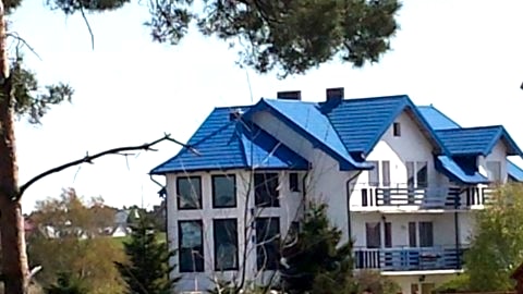 WILLA ELF