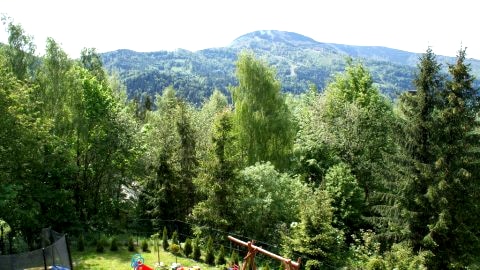 Widok z lotu ptaka,ogród