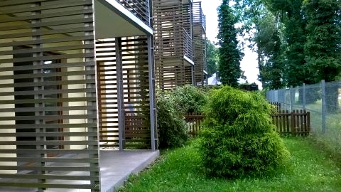 ogórdek z tarasem
