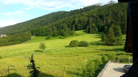 Widok z balkonu latem