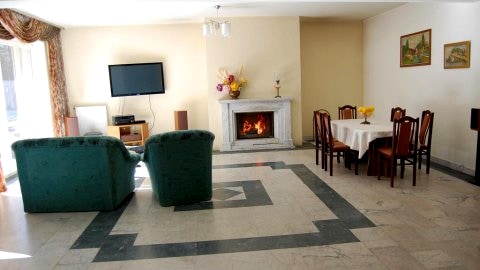sala z kominkiem
