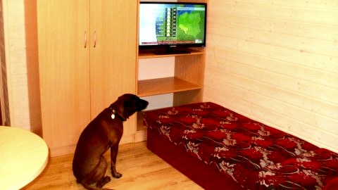 Międzywodzie - domek piętrowy -pokój z telewizorem.