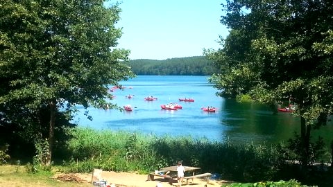 Widok na Jezioro Płęsno