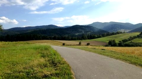 Lato widok z okna