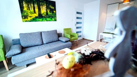 salon z aneksem kuchennym