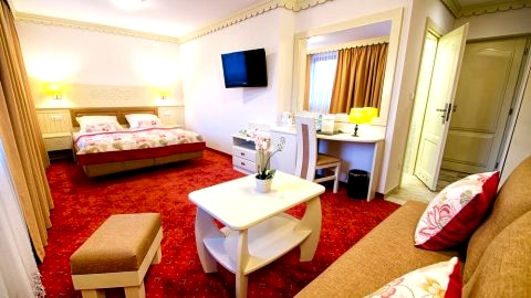 Hotel TOPORÓW ***