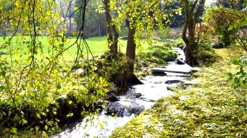 strumień Janówka