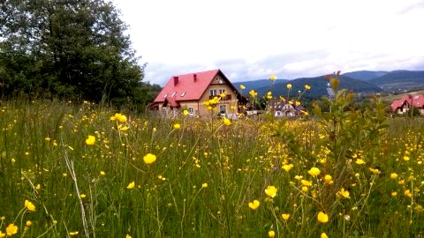 widok na domek z okalających łąk