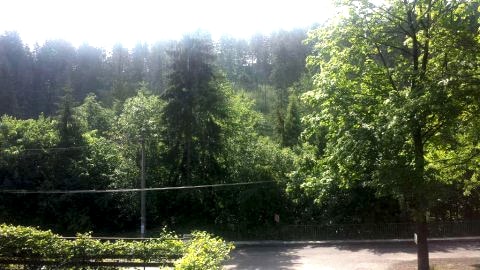 widok