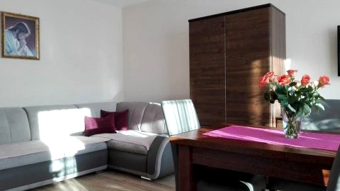 Apartament-duży pokój