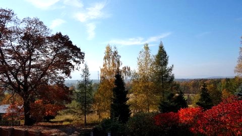 widok od strony domu