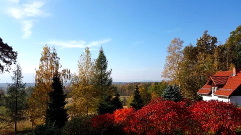 widok od strony domu