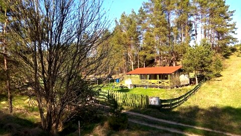 Letni domek