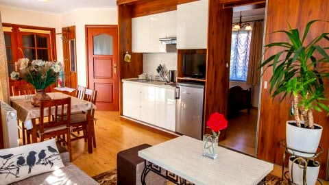 Pokój dzienny w apartamencie nr 2.